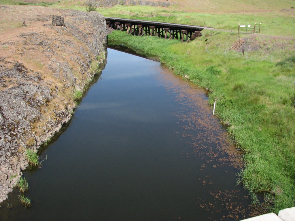 Swale Creek Stream Gage site